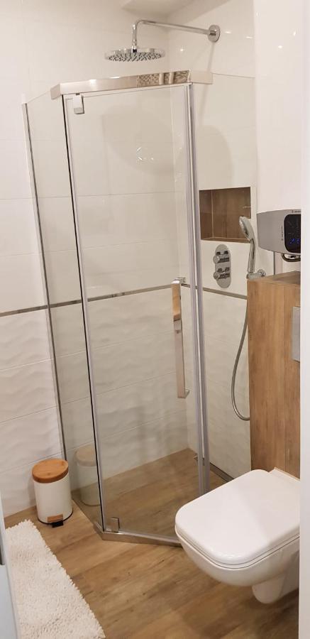 Apartament Premium ブィドゴシュチュ エクステリア 写真